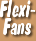 Flexi-Fun